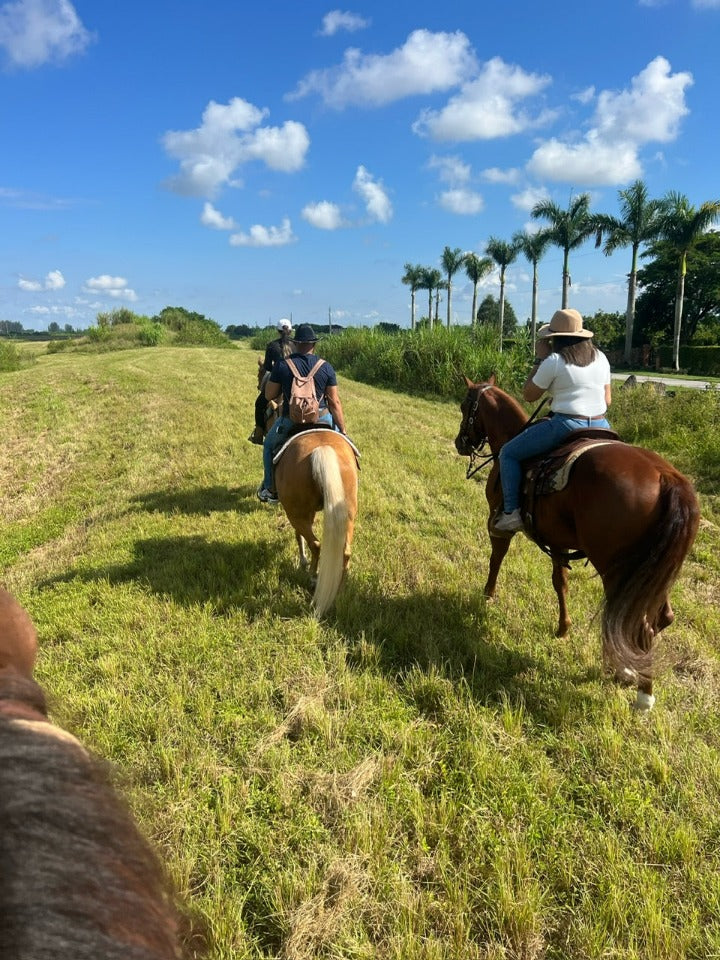 Horseback Riding in Homestead!