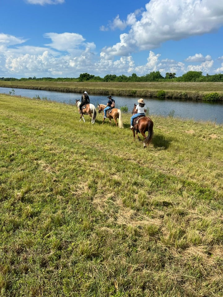 Horseback Riding in Homestead!