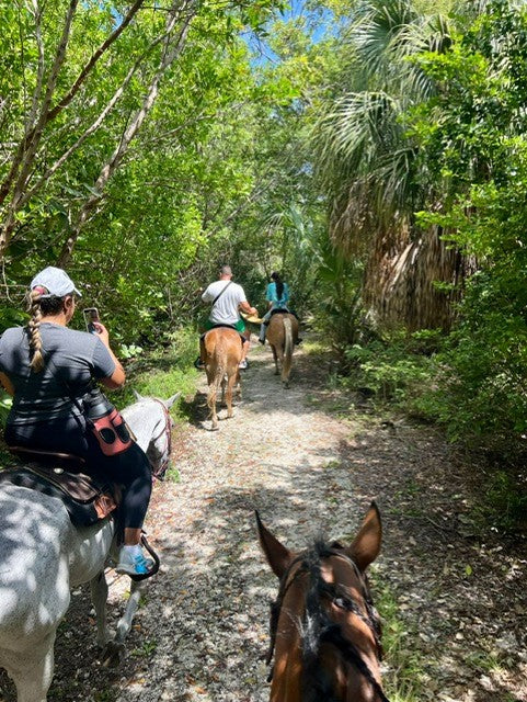 Horseback Riding in Homestead!